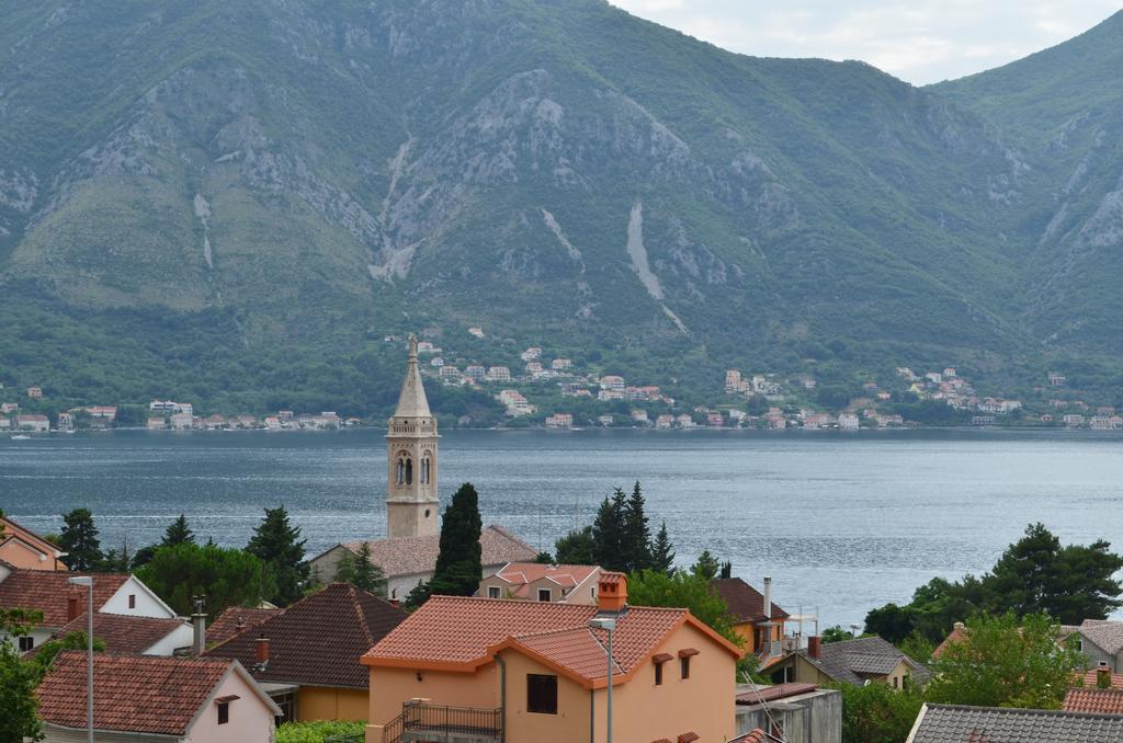 Dobrisa * Kotor